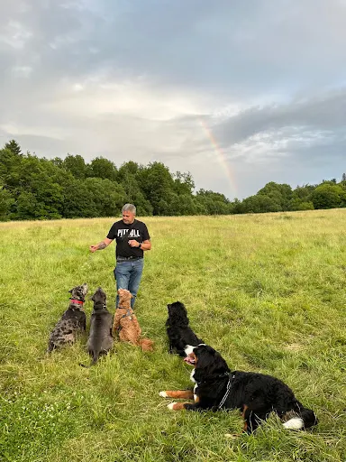Szkolenia Psów Psi Umysł - psi behawiorysta Marek Serdyński